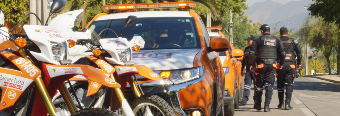 Patrulleros De Lo Barnechea Realizan Procedimientos Exitosos Con Recuperación De Especies Y Detenidos